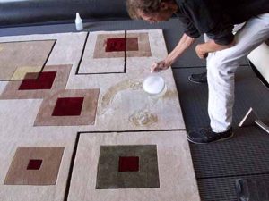 Removing Pet Stains and Odor from an Area Rug