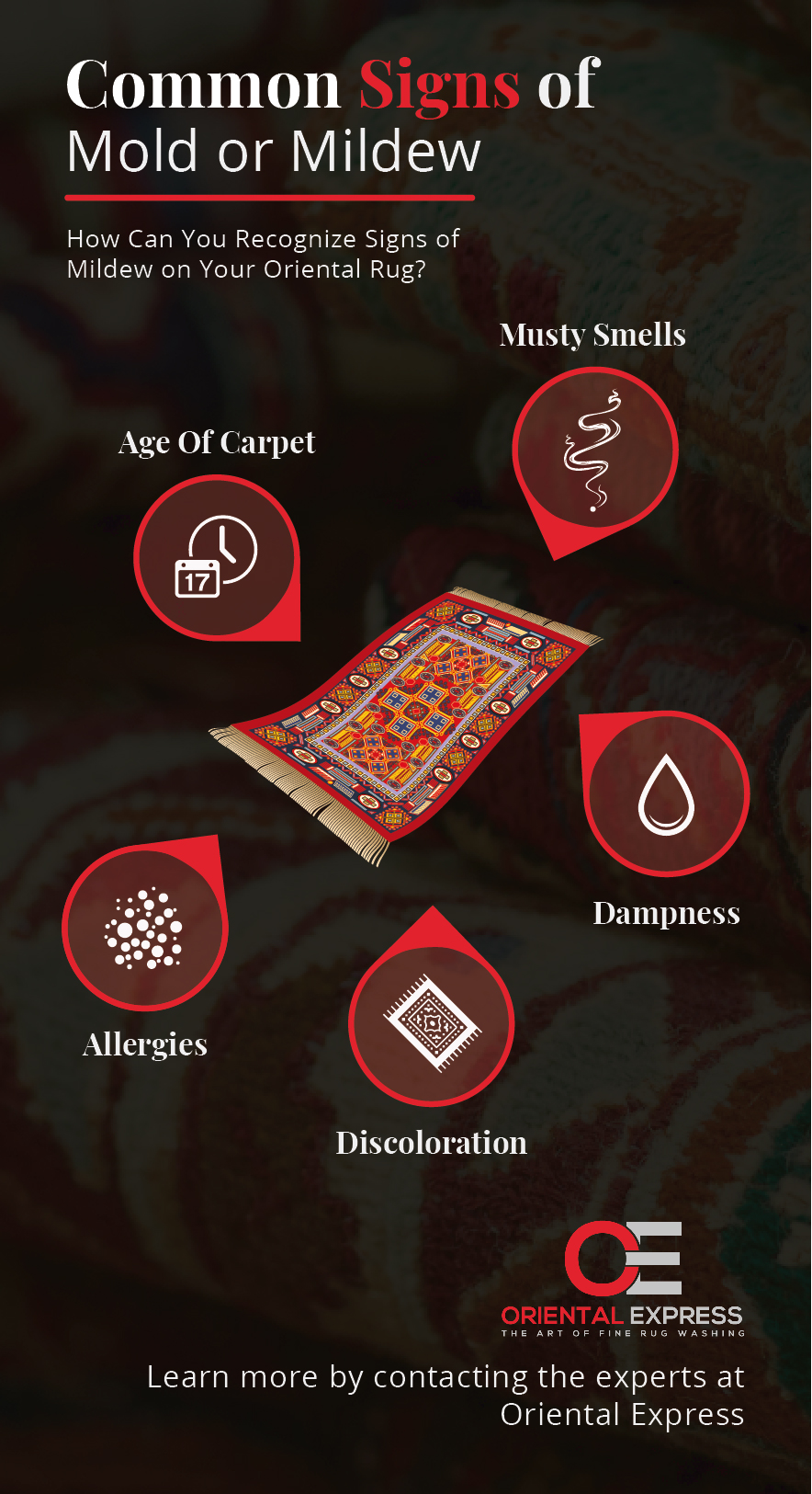 Rug Care Tips: Preventing Mildew and Dry Rot in Rugs » Greenspring Rug Care